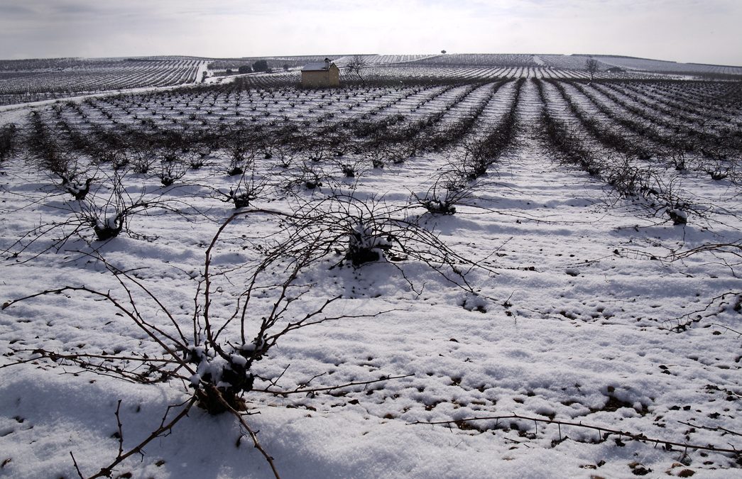 Rueda in de sneeuw